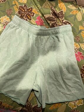 Champion Mint Green Fleece Sweatshorts